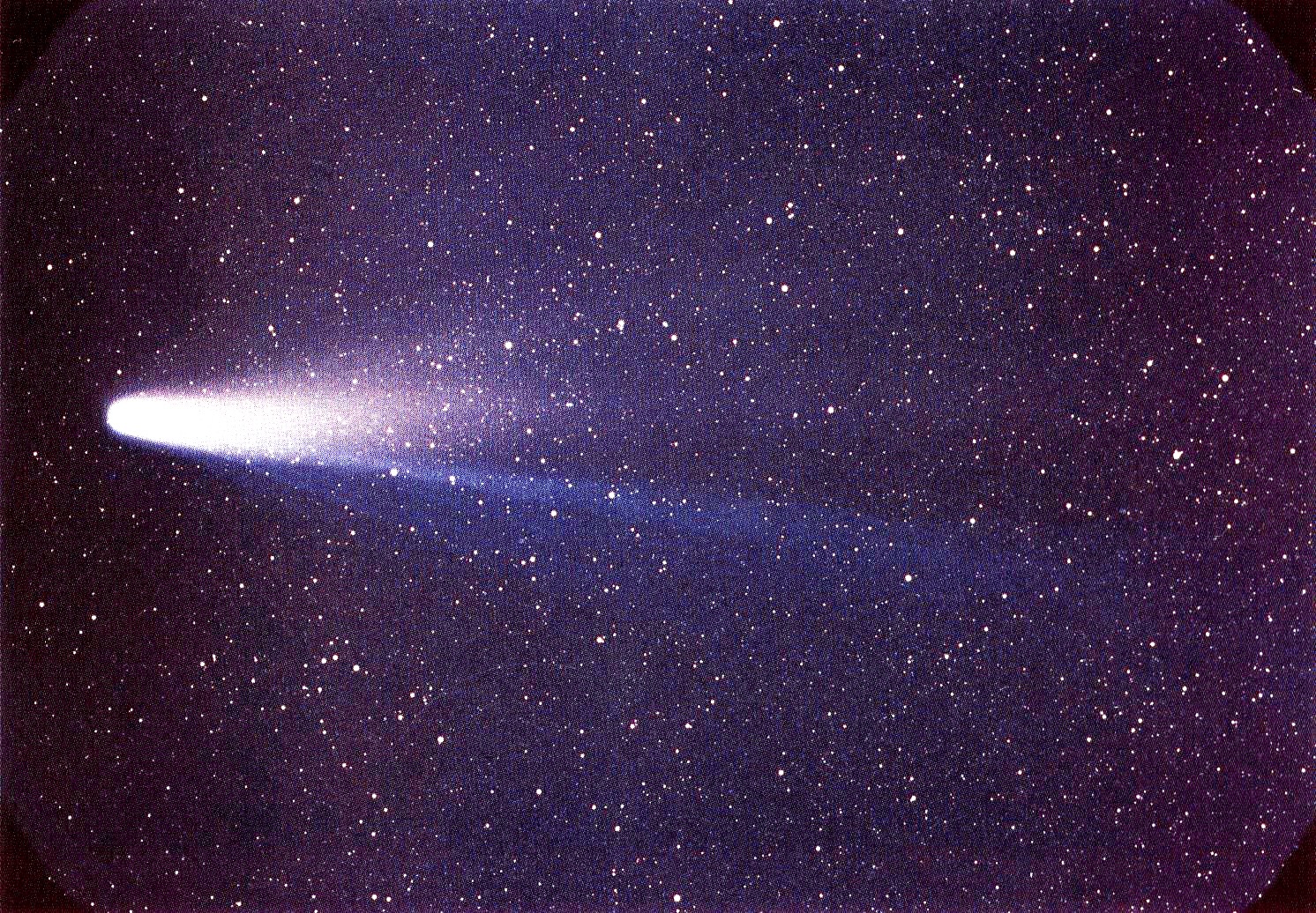 File:Halley's Comet.jpg
