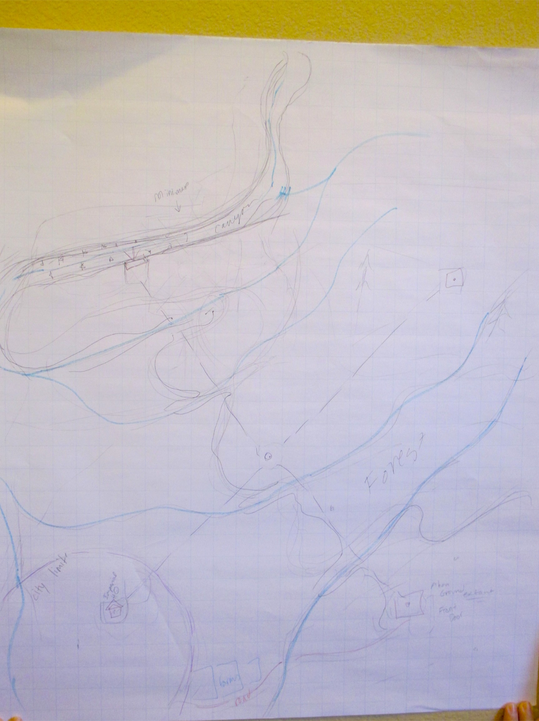 Map Overview Showing Cerebro in relation to the Village (its a town, really, and they're proud of it!), Forest, Anatoki River, and other surrounding terrain.