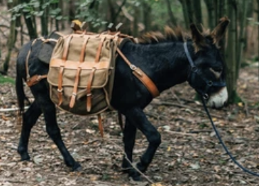Pack Mule.png