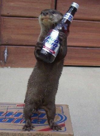 File:Bud-light-otter.jpg